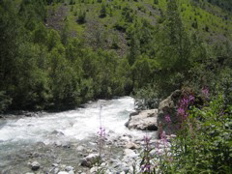 IMG_0338.JPG