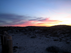 IMG_2425.JPG