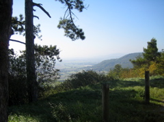 IMG_2257.JPG