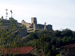 IMG_2264.JPG