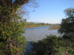 IMG_2320.JPG