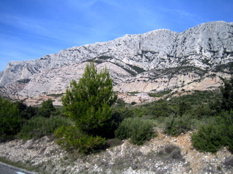 IMG_2358.JPG