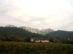 IMG_2403.JPG